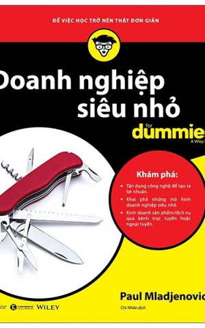 Doanh nghiệp siêu nhỏ for dummies