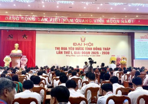 Thư viện Tỉnh triển lãm sách, xếp sách nghệ thuật phục vụ Đại hội thi đua yêu nước lần thứ I