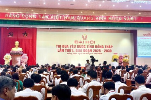 Thư viện Tỉnh triển lãm sách, xếp sách nghệ thuật phục vụ Đại hội thi đua yêu nước lần thứ I