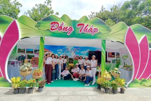 Thư viện tỉnh Đồng Tháp trưng bày tài liệu, xếp sách nghệ thuật tại triển lãm “Không gian Du lịch, Văn hóa - Hội nhập và lan tỏa”