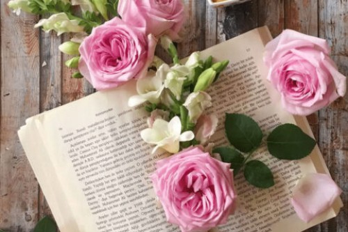 Thư viện Tiền Giang giới thiệu sách theo chuyên đề Người lái đò